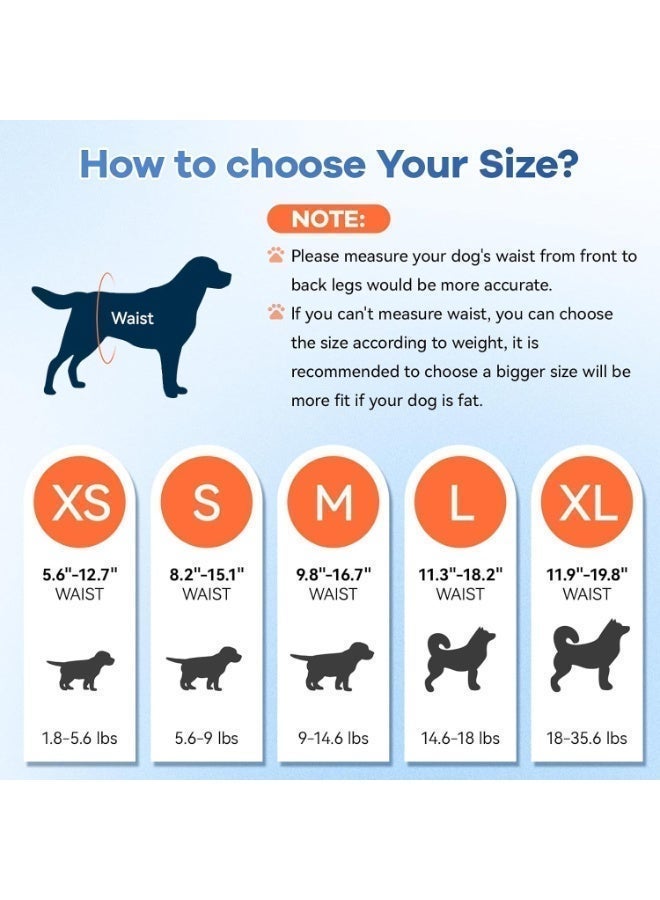 M.A&F's Disposable Dog Diapers Absorbent Soft Puppy Doggie Diapers for Female Dogs with Stretchy Waist Puppy Diaper in Heat Period Excitable Urination (S 10PCS) - Image 2